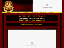 Tablet Screenshot of abilenemartialartcenter.com